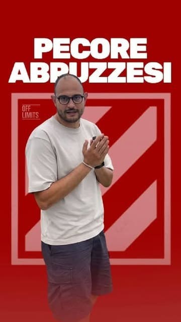 Copertina del reel Instagram: Pecore abruzzesi